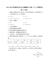 2022-2023学年黑龙江省大庆市肇源县八年级（下）月考数学试卷（4月份）（含解析）