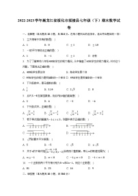 2022-2023学年黑龙江省绥化市绥棱县七年级（下）期末数学试卷（含解析）