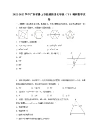 2022-2023学年广东省佛山市桂城街道七年级（下）调研数学试卷（含解析）