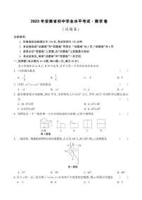 安徽省芜湖市部分学校2023年6月中考模拟数学试卷