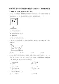 山东省菏泽市成武县2021-2022学年七年级下学期期末学业质量测评考试数学试卷(含答案)