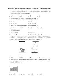 2022-2023学年山东省临沂市经开区八年级（下）期中数学试卷（含解析）