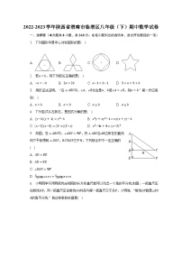 2022-2023学年陕西省渭南市临渭区八年级（下）期中数学试卷（含解析）