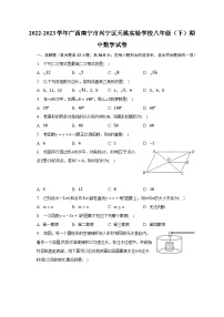 2022-2023学年广西南宁市兴宁区天桃实验学校八年级（下）期中数学试卷（含解析）