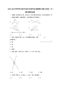 2022-2023学年河北省石家庄市裕华区东南智汇城七年级（下）期中数学试卷（含解析）