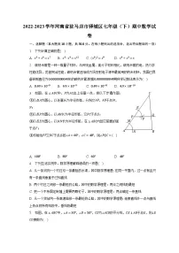 2022-2023学年河南省驻马店市驿城区七年级（下）期中数学试卷（含解析）