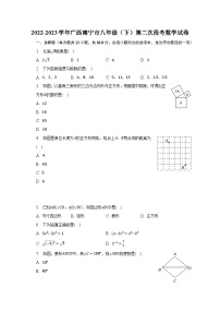 2022-2023学年广西南宁市八年级（下）第二次段考数学试卷（含解析）