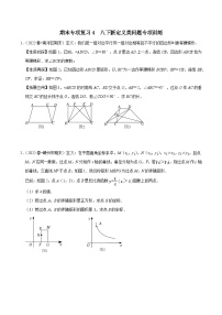 【重难点讲义】浙教版数学八年级下册-期末专项复习4 八下新定义问题专项训练