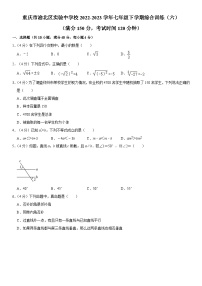 重庆市渝北区实验中学校2022-2023学年七年级下学期期末数学综合训练（六）（含答案）