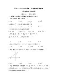 河北省秦皇岛市抚宁区2022-2023学年八年级下学期期末质量检测数学试卷(含答案)