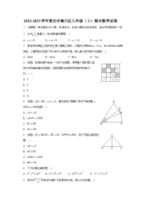 2022-2023学年重庆市南川区八年级（上）期末数学试卷（含解析）