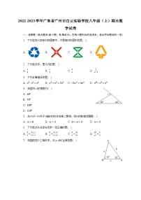 2022-2023学年广东省广州市白云实验学校八年级（上）期末数学试卷（含解析）