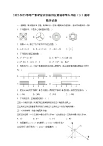 2022-2023学年广东省深圳市福田区黄埔中学八年级（下）期中数学试卷（含解析）