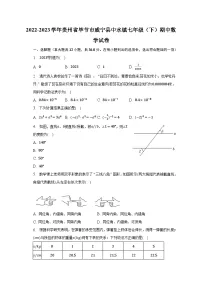 2022-2023学年贵州省毕节市威宁县中水镇七年级（下）期中数学试卷（含解析）