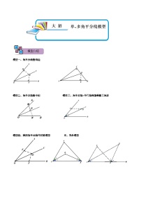 模型42 单、多角平分线模型（讲+练）-备战2023年中考数学解题大招复习讲义（全国通用）