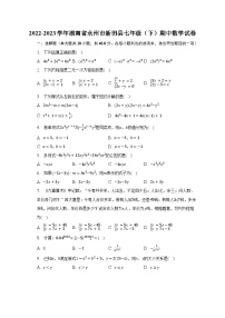 2022-2023学年湖南省永州市新田县七年级（下）期中数学试卷（含解析）