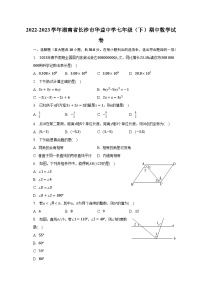 2022-2023学年湖南省长沙市华益中学七年级（下）期中数学试卷（含解析）