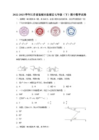 2022-2023学年江苏省盐城市盐都区七年级（下）期中数学试卷（含解析）