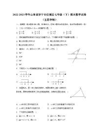 2022-2023学年山东省济宁市任城区七年级（下）期末数学试卷（五四学制）（含解析）