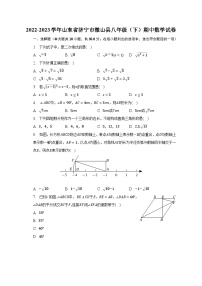 2022-2023学年山东省济宁市微山县八年级（下）期中数学试卷（含解析）