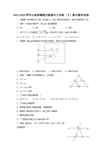 2022-2023学年山东省聊城市临清市七年级（下）期中数学试卷（含解析）