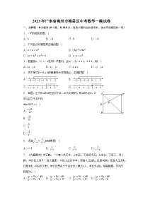 2023年广东省梅州市梅县区中考数学一模试卷（含解析）