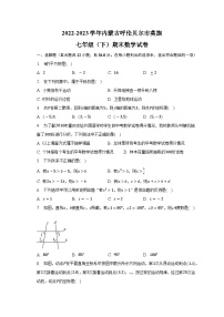 内蒙古呼伦贝尔市莫旗2022-2023学年七年级下学期期末数学试卷（含答案）