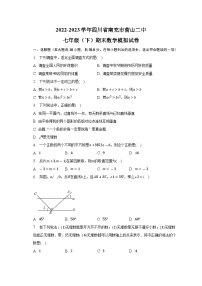 四川省南充市营山县第二中学2022-2023学年七年级下学期期末数学模拟试卷（含答案）