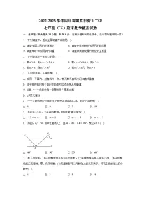 四川省南充市营山县第二中学2022-2023学年七年级下学期期末数学模拟试卷（含答案）