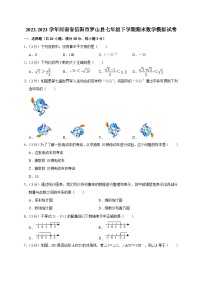 河南省信阳市罗山县2022-2023学年七年级下学期期末数学模拟试卷（含答案）