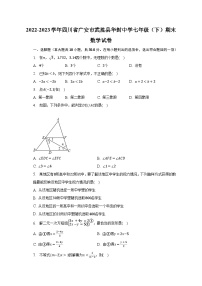 2022-2023学年四川省广安市武胜县华封中学七年级（下）期末数学试卷（含解析）