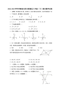 2022-2023学年河南省安阳市殷都区八年级（下）期末数学试卷（含解析）