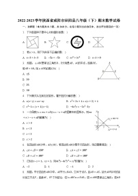 2022-2023学年陕西省咸阳市泾阳县八年级（下）期末数学试卷（含解析）