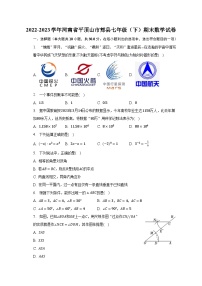 2022-2023学年河南省平顶山市郏县七年级（下）期末数学试卷（含解析）