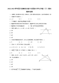 2022-2023学年四川省南充市阆中市思依中学七年级（下）期末数学试卷（含解析）