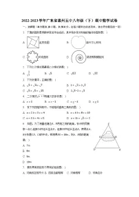 2022-2023学年广东省惠州五中八年级（下）期中数学试卷（含解析）
