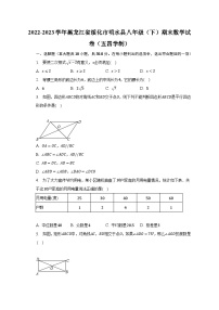 2022-2023学年黑龙江省绥化市明水县八年级（下）期末数学试卷（五四学制）（含解析）