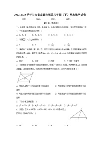 甘肃省定西市岷县2022-2023学年八年级下学期期末数学试题（含答案）