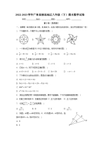 广东省清远市2022-2023学年八年级下学期期末数学试卷（含答案）