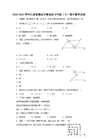 +江西省南昌市南昌县2020-2021学年七年级下学期期中数学试卷