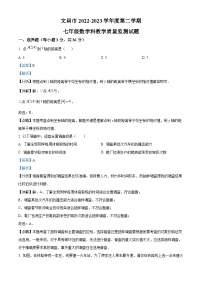 海南省省直辖县级行政单位文昌市2022-2023学年七年级下学期期末数学试题（解析版）