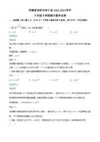 河南省洛阳市洛宁县2022-2023学年八年级下学期期末数学试题（解析版）