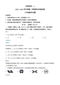 山东省潍坊市潍城区2022-2023学年八年级下学期期末数学试题（解析版）