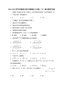 2022-2023学年河南省安阳市殷都区七年级（下）期末数学试卷（含解析）