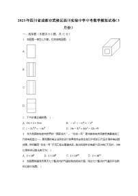 2023年四川省成都市武侯区西川实验中学中考数学模拟试卷（3月份）（含解析）