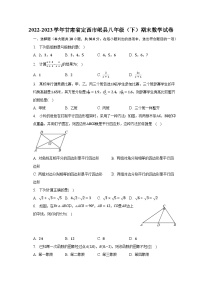 2022-2023学年甘肃省定西市岷县八年级（下）期末数学试卷（含解析）