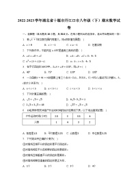 2022-2023学年湖北省十堰市丹江口市八年级（下）期末数学试卷（含解析）