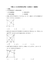 初中数学北师大版九年级上册3 正方形的性质与判定课时训练