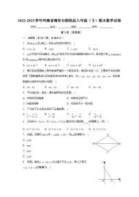 河南省南阳市桐柏县2022-2023学年八年级下学期期末数学试卷（含答案）