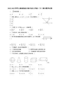 云南省临沧市耿马县2022-2023学年七年级下学期期末数学试卷（含答案）